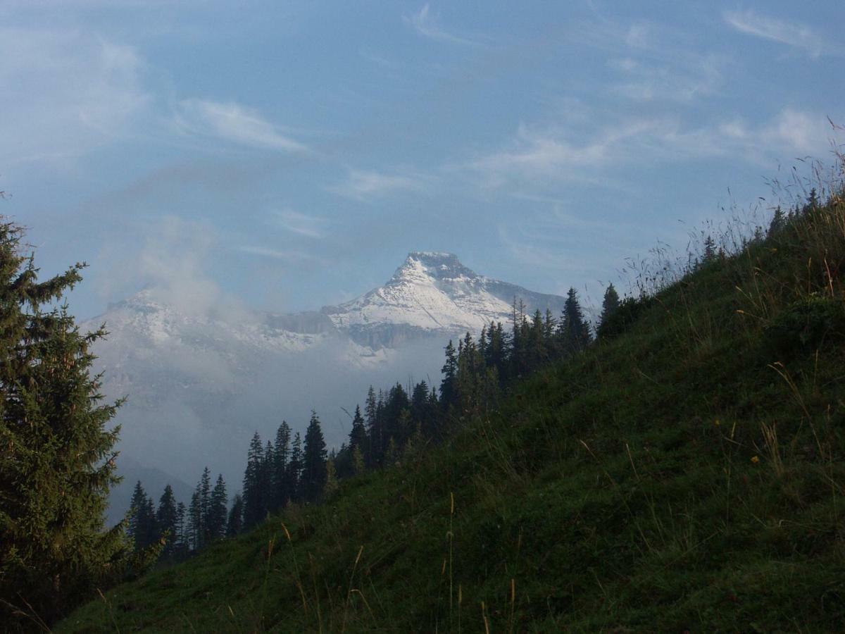 Pension Sonne Adelboden Exterior foto